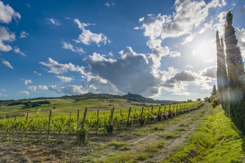 באניו ויניוני Agriturismo Poggio Istiano מראה חיצוני תמונה